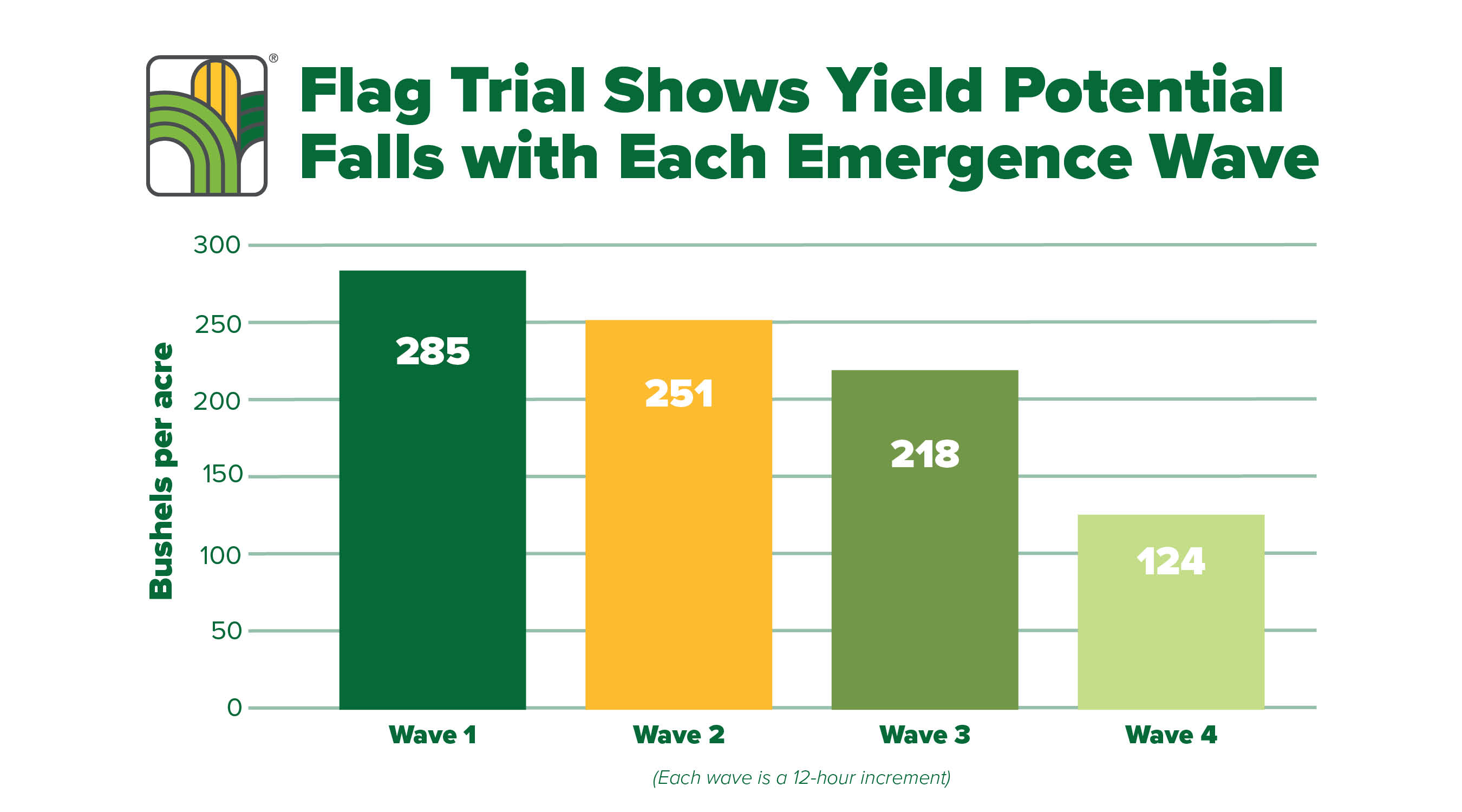 AgriGold_Even Emergence_Graph Graph depicting yield potential falling with each emergence wave